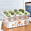 Practical All Purpose Plastic Propagation Case Grower Box-White 7