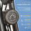 2-in-1 Folding Bike 8-Level Magnetic Pulse Black 4