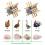 Ergonomic Feathered Remover Tool Natural Rubber-Picture color 2