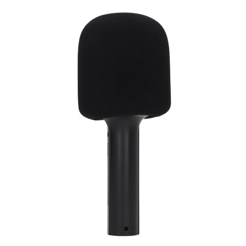 High Volume Cute Microphone Portable