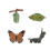 Mini Statue Model Butterfly Animal, Biological Toy Statue Set 1