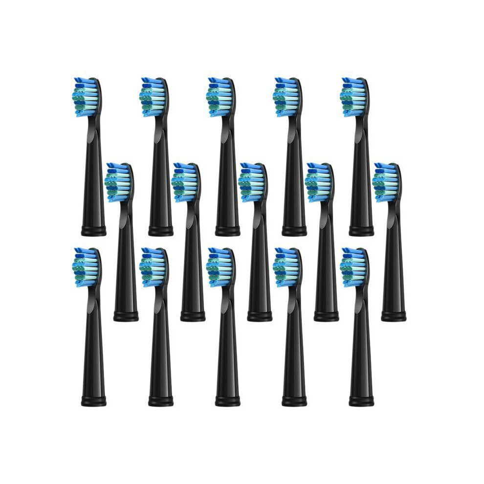 15-piece replacement brush heads, black â compatible with Fairywill D7/D8/FW507/FW508/FW551/FW2011/FW917/FW959/FW515 & Seago SG-E9