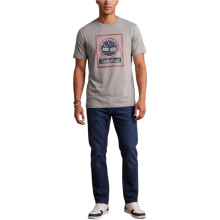 (Grey, 3XL) Timberland Mens T Shirts Tree Print Summer Top
