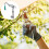 M High Altitude Pruning Shear Rope Included Multipurpose High Branch Cutting Tool 6