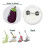 300 Sets 32mm Blank Button Badge Parts for Button Machine 58mm 2