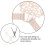 6Pcs Criss Cross Back Bra Straps Adjustable Elastic Decorative Lace 5