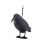 Bird repeller - raven 1