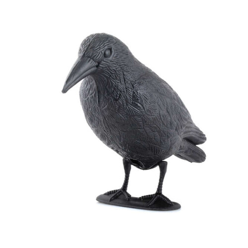 Bird repeller - raven 2