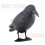 Bird repeller - raven 5