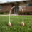 6Pcs Lightweight Khaki Croquet Wickets Wood Base 3