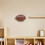 2Pcs Space-Saving Clear Acrylic Wall Mount Sports Ball Storage Holder 9