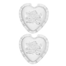 2Pcs Transparent Heart Fruit Growing Mold Durable Plastic for Orchard