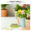 1Set Plastic En Rvs Sprouting Jar Covers Met Stand Voor Mason Jars 5