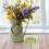 1Set Plastic En Rvs Sprouting Jar Covers Met Stand Voor Mason Jars 8