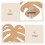 2Pièces Mural Hydroponique Bois Feuille Monstera 5