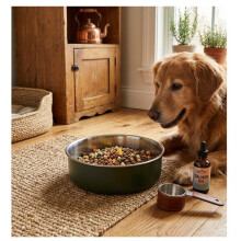 Futternapf und Wassernapf - EDEN - Yums - 1,55 L - Edelstahl - rutschfester Boden