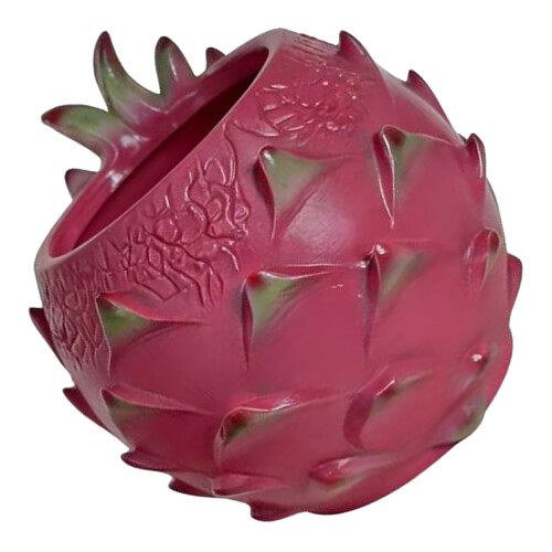 Succulents Pots with Drainage,Cartoon Pitaya Planter-small