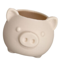 Pot de fleur décoratif Unique en forme de cochon,-peau claire