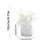 6Pcs Decorative Balloon Weights Metallic PET Foil-Silver 4