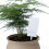 Easy To Use Garden Watering Device Practical-dark green 6