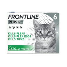FRONTLINE PLUS SPOT ON CAT 8 WEEKS OR OLDER PIPETTE 1 MONTH SUPPLY UNBOXED