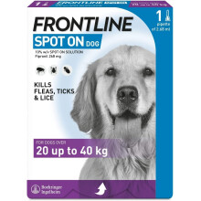 FRONTLINE SPOT ON DOG 20-40KG PIPETTE 1 MONTH SUPPLY UNBOXED
