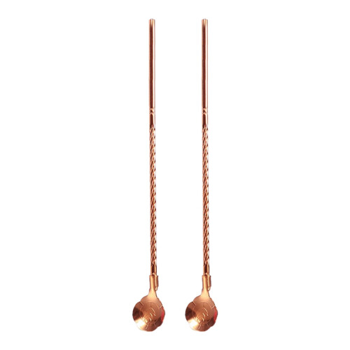 Ensemble de 2 cuillères à paille en acier inoxydable 1