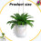 Creative Hanging Plant Enhancement Using smoothed Glass-Heart 4