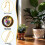 Creative Hanging Plant Enhancement Using smoothed Glass-Heart 5