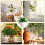 Creative Hanging Plant Enhancement Using smoothed Glass-Heart 7