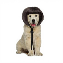Bob-Haarteil für Tierhaar-Perücken, Zubehör,-Hunde-Bob-Haare