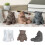 Sturdy Animal Shaped Silicone Mould For Creative Projects Like 2