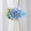 Curtain Tiebacks Decorative Curtain Holdbacks Retro-White 5