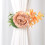 Curtain Tiebacks Decorative Curtain Holdbacks Retro-White 7