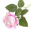 Kunstig fløyelsrose lys rosa enkelt stilk 1