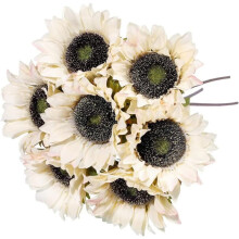 Tournesols artificiels blancs avec tige (7 pièces)