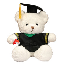 Graduation Bear Plush with Gown Cap Diploma 14 inch