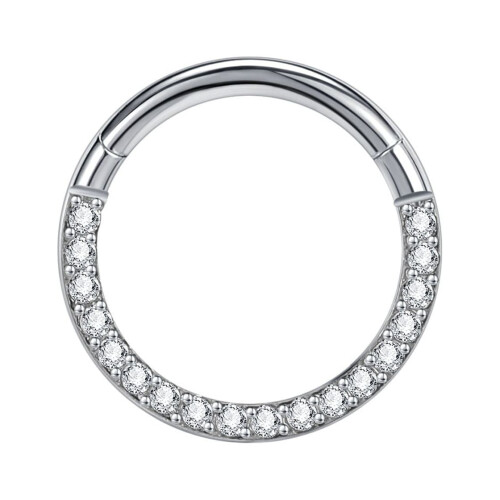 Nasenring aus Titan, 16G