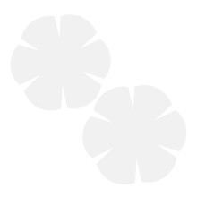 2Pcs Transparent Pet Bowl Cozy Template with Flower Edge for DIY Craft