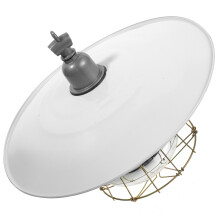 Multi Use Livestock Poultry Pet Heating Lamp Iron Glass Material