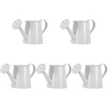5St Kleine Metaal Gieters Miniatuur Voor Plantendecoratie