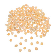 1Ensemble Noyaux De Cerise Naturels Beige Pour Jardinage