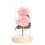 Galaxy Glass Rose σε Φωτιζόμενο Θόλο 1Pack 2