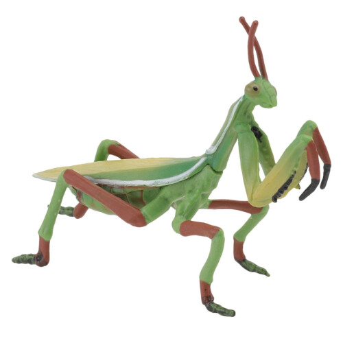 Groene plastic bidsprinkhaanfiguur (1 stuk)