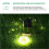 10M Solar Powered Warm White String Fairy Lights with 100LEDs 3