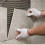 Super Grip Ready Mix Non Slip Ceramic Wall Tile Adhesive Off White 1.5kg 2