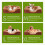EDX ortopædisk hundeseng memory foam brun lille 5