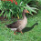 Acryl-Gartenstecker in Gänseform, 2er-Pack 1