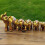 Elephant Statue Home Decoration Good Lucky Elephants-Gold 4