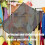Visual Window Equipped 17L Gray Vacuum Bag For Organized-1 5
